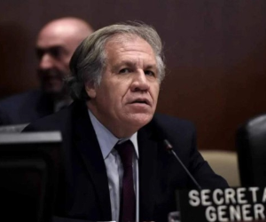 Morales volvió a cuestionar la proclamación de la senadora derechista Jeanine Añez como mandataria interina en Bolivia, insistiendo en que la salida a la crisis debe ser constitucional. Evo dice que la OEA se sumó al 'golpe'.