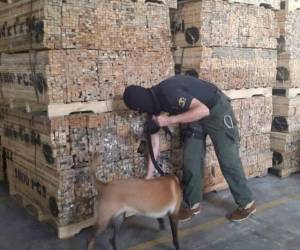 Un agente antinarcóticos inspecciona con ayuda de un sabueso las regletas.