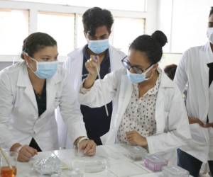 En la elaboración participan estudiantes de microbiología. Foto: Alejandro Amador/ EL HERALDO.