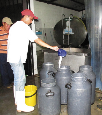 Ganaderos comienzan a tecnificar los centros de producción de leche