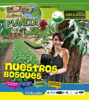 Nuestros bosques