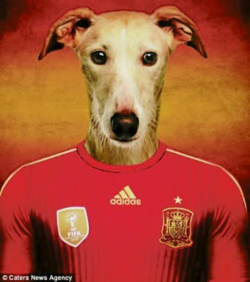 El mundial se pone de 'perros”