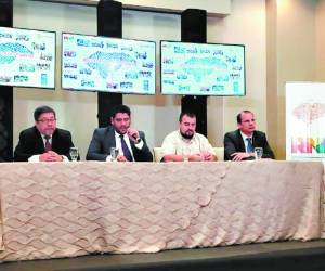 Las autoridades del RNP y del PNUD han estado trabajando en los últimos meses en la preparación del proyecto de la nueva tarjeta de identidad que deberá concluir este año.