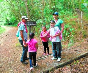 La falta de recursos ha obligado a los directivos de la fundación a despedir personal y reducir algunos patrullajes.