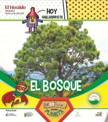 El Bosque