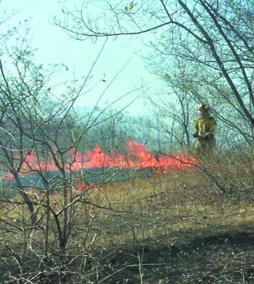 Honduras: Más de 2,000 manzanas quemadas registra Choluteca en este mes