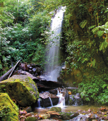 Panacam, el paraíso para los amantes de las aves