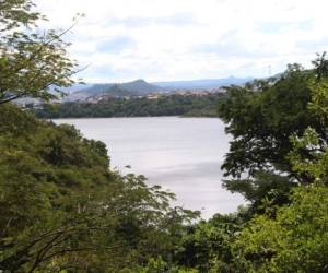 El nivel de la represa Los Laureles se encuentra en un 96%, la única con buena captación para abastecer a los abonados. Fotos: Alex Pérez/EL HERALDO.