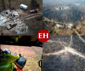 Desolada y devastada. Así luce Australia luego de los voraces incendios que consumieron todo a su paso. Cientos de animales, árboles y viviendas fueron reducidos a carbón por las llamas que iniciaron, en menor proporción, en septiembre de 2019.