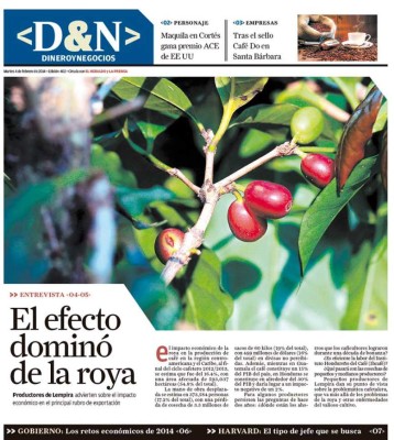 El efecto dominó de la roya