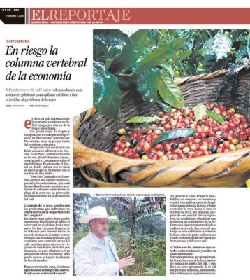 El efecto dominó de la roya