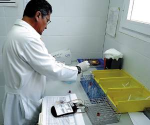 Hospital de Danlí urge de sangre