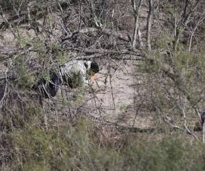 Muchos migrantes hondureños han perdido la vida trágicamente durante su travesía ilegal rumbo a Estados Unidos (Foto ilustrativa: AFP/ El Heraldo Honduras/ Noticias de Honduras)