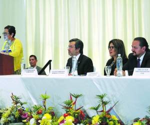 La comisión ha discutido que este monto no puede aplicarse a todas las candidaturas, ya que para las campañas presidenciales se necesitan más recursos.