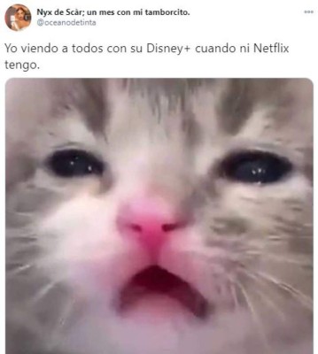 FOTOS: Los divertidos memes por la llegada de Disney Plus a Latinoamérica
