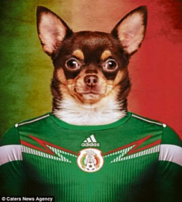 El mundial se pone de 'perros”