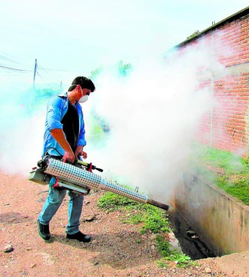 Definen estrategia contra chikungunya