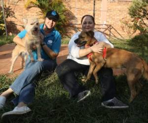 Leslie Godoy y Suyapa Bove luchan por darles un hogar lleno de amor a estos indefensos animales.