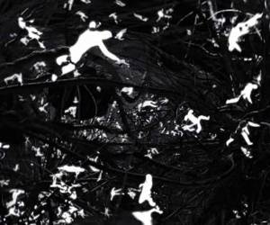 Cada año el cáncer se lleva más de 8 millones de vidas en todo el mundo.