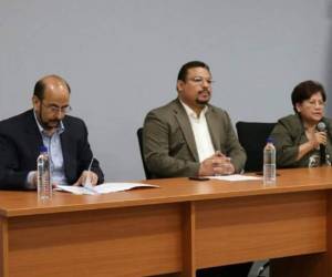 La Comisión Especial se encuentra en su última etapa de depuración, sin embargo, su mandato fue extendido por un año más.