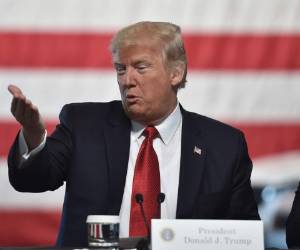 Donald Trump, presidente de los Estados Unidos, enfrenta una serie de protestas de los grupos opositores (Foto: Agencias)