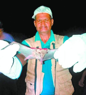 Vampiros crean terror en El Porvenir