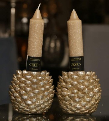 Bellotas que engalanan y ambientan su hogar&nbsp;&nbsp;