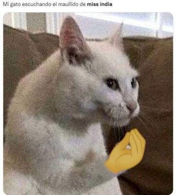Memes que dejó el 'miau' de Harnaaz Sandhu en ceremonia de Miss Universo