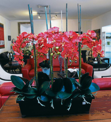 Detalles ornamentales