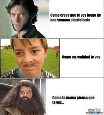 Los 10 memes que muestran con humor grandes verdades de la vida