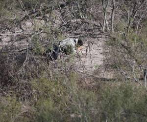 Muchos inmigrantes se exponen a robos, secuestros y asesinatos en su trayecto a los Estados Unidos. (Foto: AFP/ El Heraldo Honduras/ Noticias de Honduras)