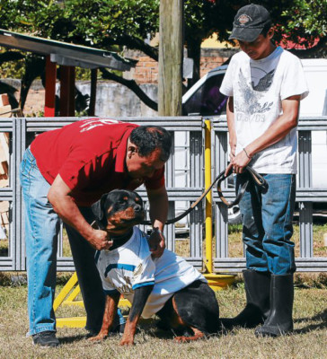 Final Olimpia-Victoria: ¡Esto se pone perro!