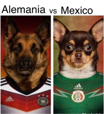 Rusia vs Arabia Saudita: Los explosivos memes que dejó la goleada en el inicio del Mundial