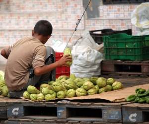Estudios registran que el promedio de edad mínima de los hijos que son puestos a trabajar por necesidad de los padres es de cinco años.