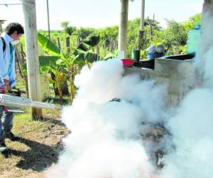 Honduras ha incrementado los esfuerzos mediante operativos de abatización y fumigación, asegura Salud.