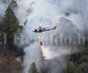 Hasta con helicóteros intentan apagar el fuego en el bosque de El Hatillo. Foto: Mario Urrutia/ EL HERALDO
