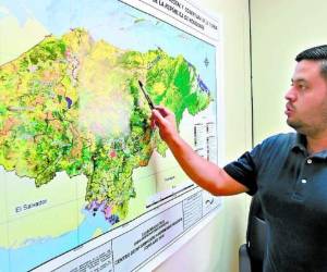 Incendios dejan 26 millones en pérdidas.