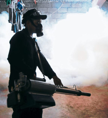 Intensa lucha contra el dengue