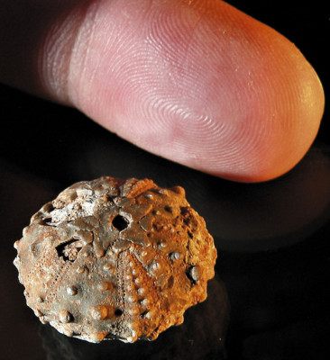 Las imágenes del 2011