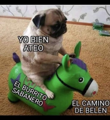 Los mejores y divertidos memes para compartir en la fiesta de Navidad