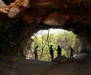 En la cueva La Esperanza se encontraron diferentes huesos de animales y humanos. Johny Magallanes/ El Heraldo.