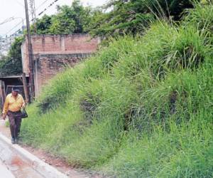 El alcalde capitalino, Nasry Asfura, pidió a la población de la capital y sus alrededores asumir la responsabilidad en sus hogares y propiedades para matener limpia las zonas.