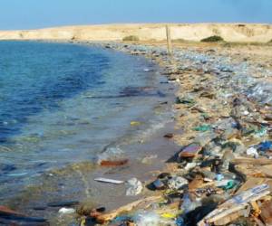 Entre las otras amenazas clave se cuentan el calentamiento global y las crecientes emisiones de carbono por el uso de combustibles fósiles, así como las prácticas agrícolas insostenibles, la deforestación, la reducción de las fuentes de agua dulce, la pérdida de vida marina y el aumento de las zonas oceánicas muertas.