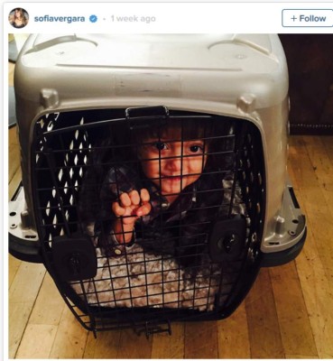 La foto de Sofia Vergara que ha generado indignación