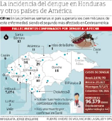 Cien mil casos de dengue se alcanzarán al culminar 2019