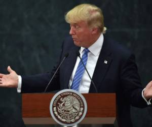 Candidato a la presidencia de EEUU, Donald Trump ofrece una conferencia de prensa conjunta con el presidente de México, Enrique Peña Nieto en la Ciudad de México