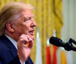 Washington, Distrito de Columbia: el presidente de los Estados Unidos, Donald Trump, hace declaraciones en la recepción del Mes de la Herencia Hispana en la Casa Blanca en Washington, DC, el 27 de septiembre de 2019. / AFP / JIM WATSON