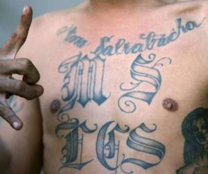 La MS-13, o Mara Salvatrucha, es una pandilla que tiene sus raíces en inmigrantes salvadoreños dentro de Estados Unidos y tiene miles de miembros en todo Estados Unidos.
