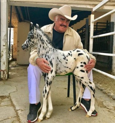 Su primer sueldo, sus empleos antes de la fama y sus trajes: lo que no sabías de Vicente Fernández