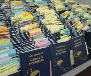 Estudian compra de libretas con chip.